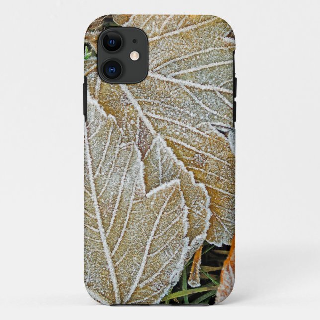 Funda De Case-Mate Para iPhone Funda Casemate para iPhone 5 de Arce Congelado (Reverso)