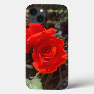 Funda Para iPhone 13 Funda de iPhone 13 rosa rojo