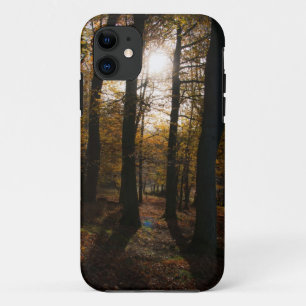 Funda de iPhone 5 Forest sun