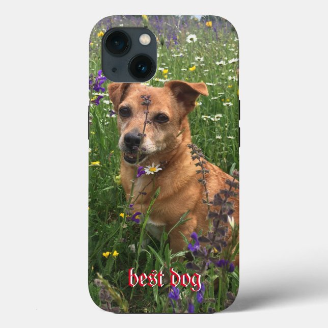 Funda De Case-Mate Para iPhone Funda de teléfono para fotógrafos (Reverso )