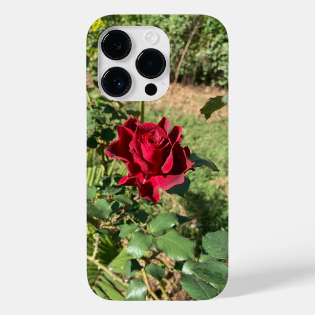 Funda De Case-Mate Para iPhone Funda Deep Red Rose iPhone 14 Pro (Reverso )