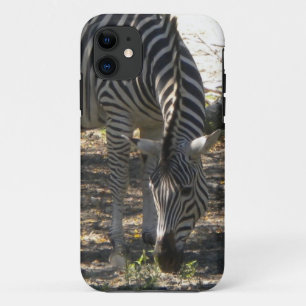Funda Grazing Zebra iPhone 5