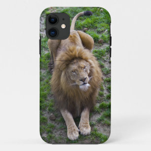 11 Funda Leonina para iPhone 5 Case-Mate