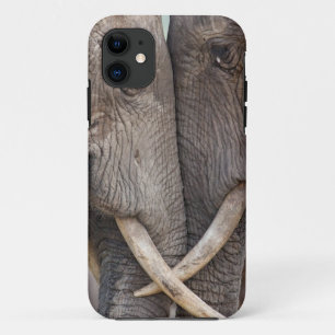 Funda-Mate iphone 5 Apenas hay Funda universal