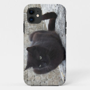 11 Funda mate para iPhone Cat negro 5