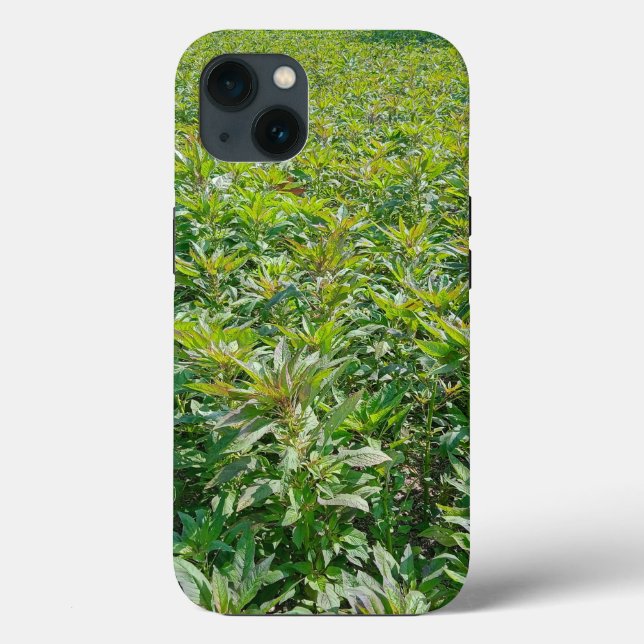 Funda De Case-Mate Para iPhone Funda-Mate Tough Apple iPhone 13 Funda (Reverso )