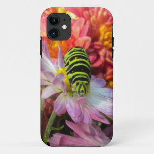 11 Funda Nosy Caterpillar para iPhone 5