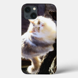 iPhone 13 Funda para iPad Air de gato Maine Coon de calicó d
