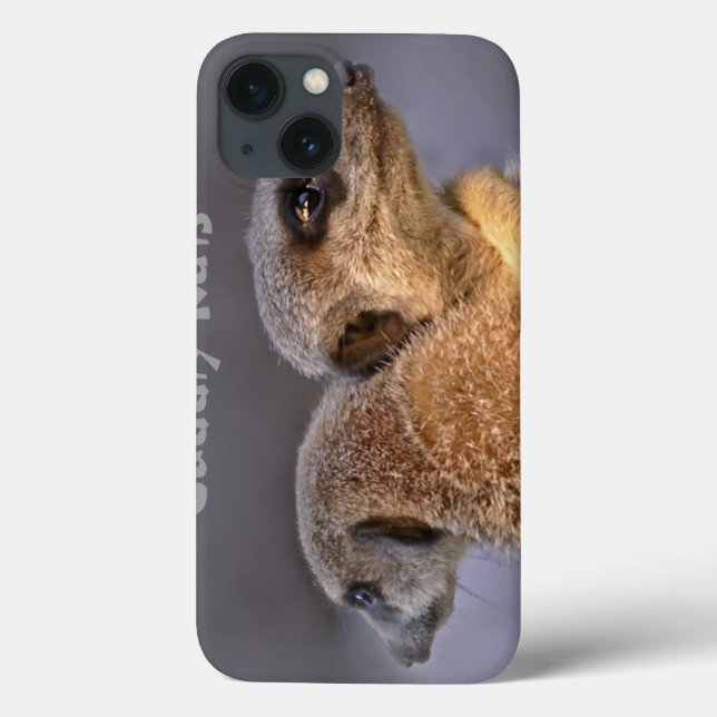 Funda De Case-Mate Para iPhone Funda para iPad Cuddly Kats (Reverso)