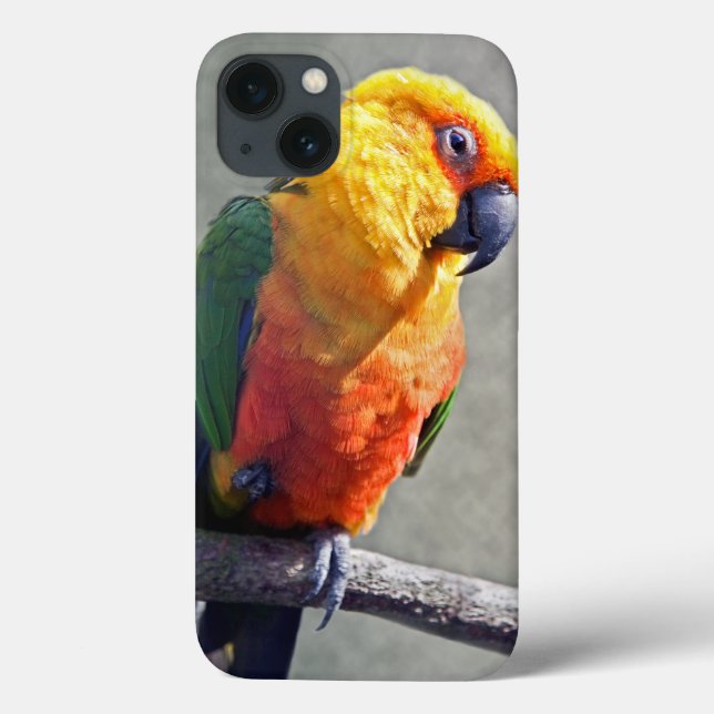 Funda De Case-Mate Para iPhone Funda para iPad de Conuro Jenday (Reverso)