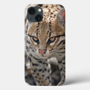 iPhone 13 Funda para iPad Mini Golden Eyes