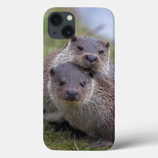 Funda De Case-Mate Para iPhone Funda para iPad Otterly in Love (Reverso)