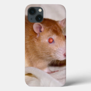 iPhone 13 Funda para iPad Rolando