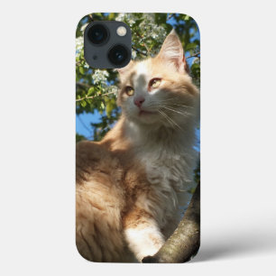 iPhone 13 Funda para iPad Sahara Cat In A Tree