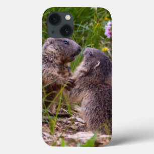 Funda para iPad Sparring Partners