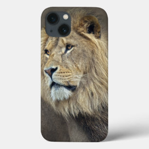 iPhone 13 Funda para iPad Sphinx