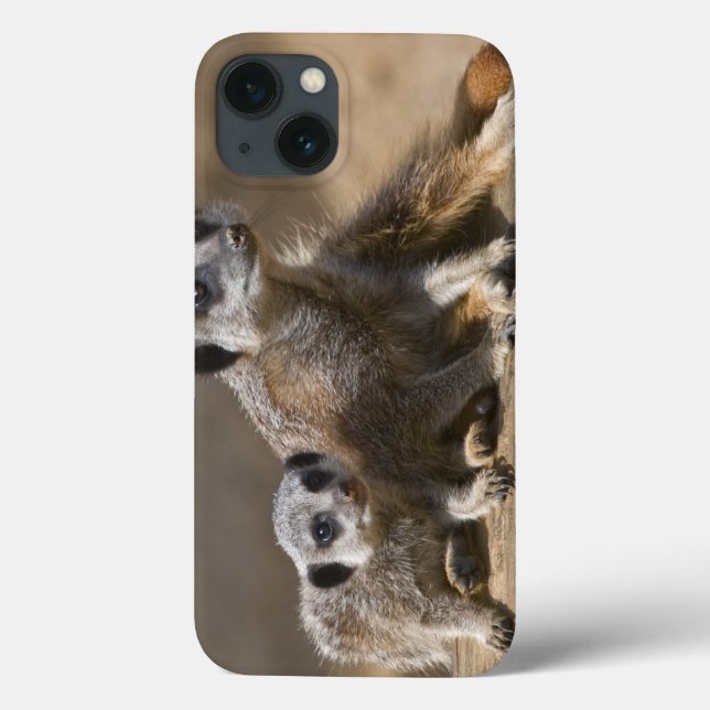 Funda De Case-Mate Para iPhone Funda para iPad Watch with Mother (Reverso)