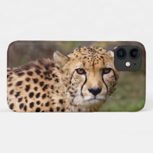 Funda para iPhone 11 Cheetah