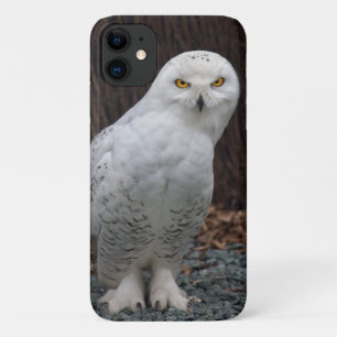 Funda para iPhone 11 de Slippers coincidentes