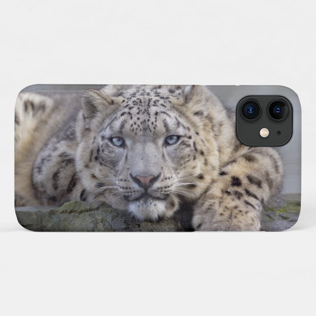 Funda De Case-Mate Para iPhone Funda para iPhone 11 Vishnu Snow Leopard (Reverso (horizontal))