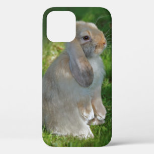 Funda para iPhone 12 de Baby Minilop Rabbit
