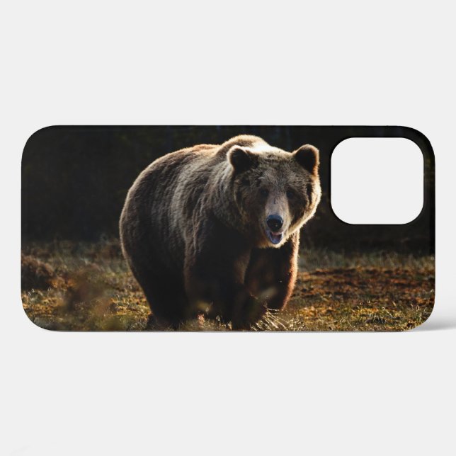 Funda De Case-Mate Para iPhone Funda para iPhone 12 de oso (Reverso (Horizontal))