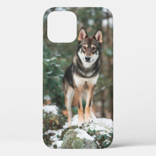 Funda para iPhone 12 Wolfdog
