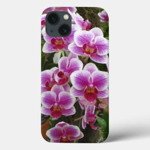 Funda para iPhone 13 Phalaenopsis rosa