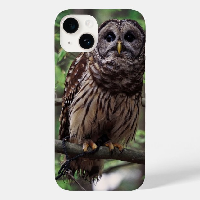 Funda De Case-Mate Para iPhone Funda para iPhone 14 de búho barrado (Reverso )