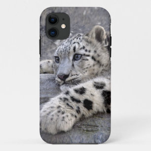 Funda para iPhone 5 Case-Mate All Played Out