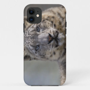 11 Funda para iPhone 5 Case-Mate Himalayan Prince