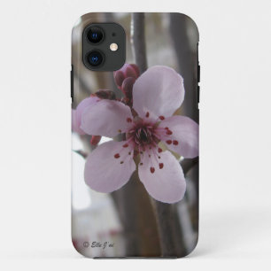 11 Funda para iPhone 5 con Blossom Spring