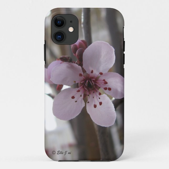 Funda De Case-Mate Para iPhone Funda para iPhone 5 con Blossom Spring (Reverso)