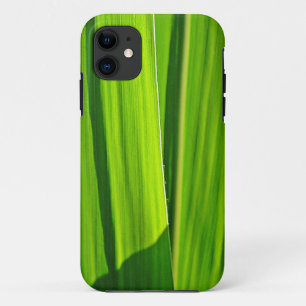 11 Funda para iPhone 5 hojas de maíz verdes