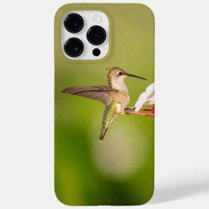 Funda Para iPhone 14 Pro Max De Case-Mate Funda para iPhone de Colibrí de Garganta Rubí #108