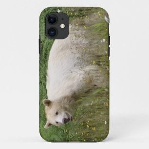 Funda para iPhone de Fauna del Oso Espíritu de Ker