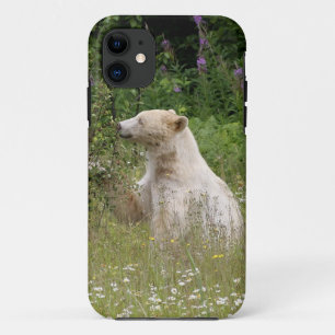 11 Funda para iPhone de fauna y flora del oso espírit