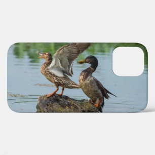 12 Funda para iPhone Excuse Me