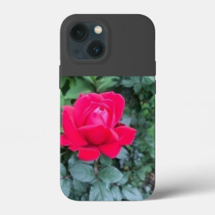 13 Mini Funda para iPhone / iPad
