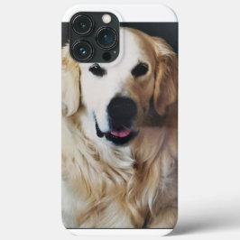 13 Pro Max Funda para iPhone / iPad