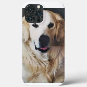 13 Pro Max Funda para iPhone / iPad