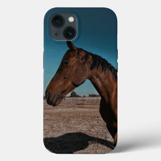 13 Funda para iPhone / iPad