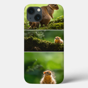 13 Funda para iPhone / iPad