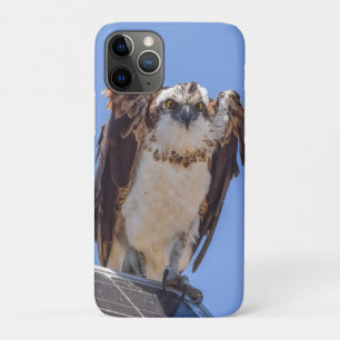 11 Pro Funda para iPhone Osprey Arte de Fotografía de A