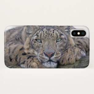 Funda para iPhone X de Green-Eyed Gaze