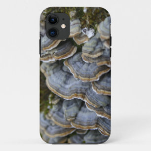 11 Funda para teléfono de hongos de árbol, iPhone SE 