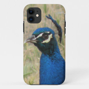 Funda Peacock iPhone 5
