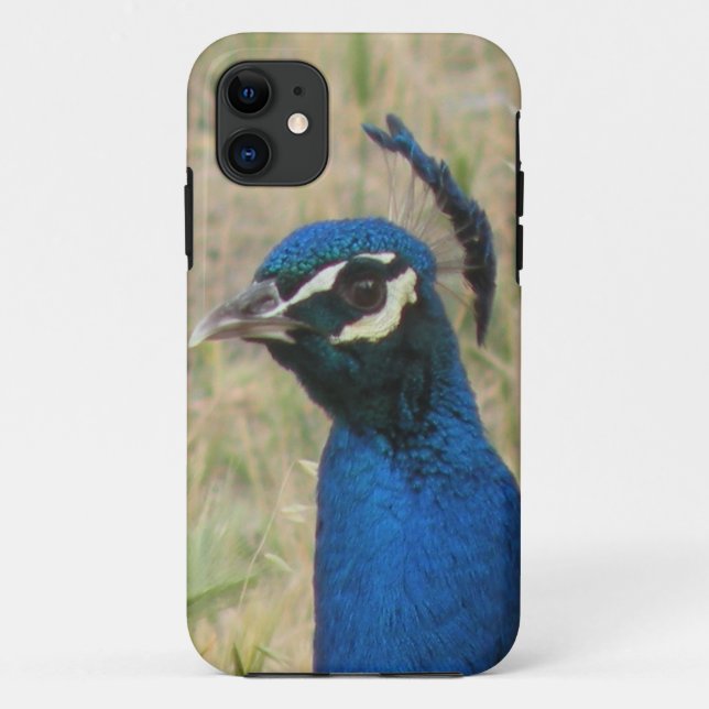 Funda De Case-Mate Para iPhone Funda Peacock iPhone 5 (Reverso)