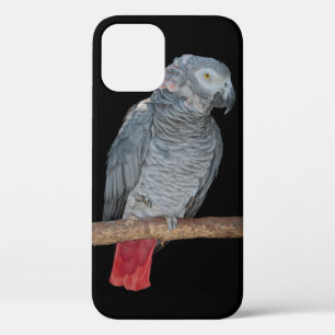 Funda Para iPhone 12 Pro Funda Pesky Parrot iPhone 12