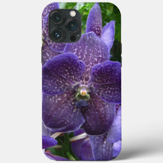Funda Para iPhone 13 Pro Max Funda Purple Vanda iPhone 13 Pro Max